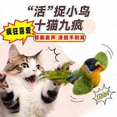 猫のおもちゃは、小鳥がブランコをぶら下げて弾力的な羽をぶら下げて猫の棒をからかうことができます