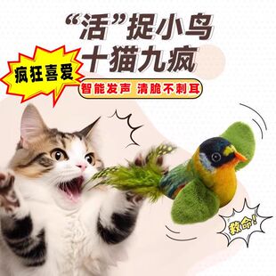 ؈��������˽␞�����������С�B�U��ǧ���T�Ғ쏗����ë��؈��