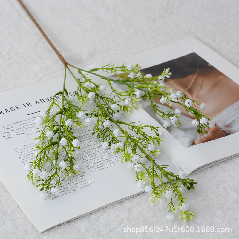 70CM brotes llenos de estrellas - Blanco
