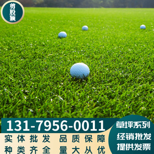 Lawn Slope Protection, Bentgrass Seeds, No Pruning, Lawn Grass Seeds, Creeping Bentgrass, Thin and Weak Varieties, Complete and Large Quantities