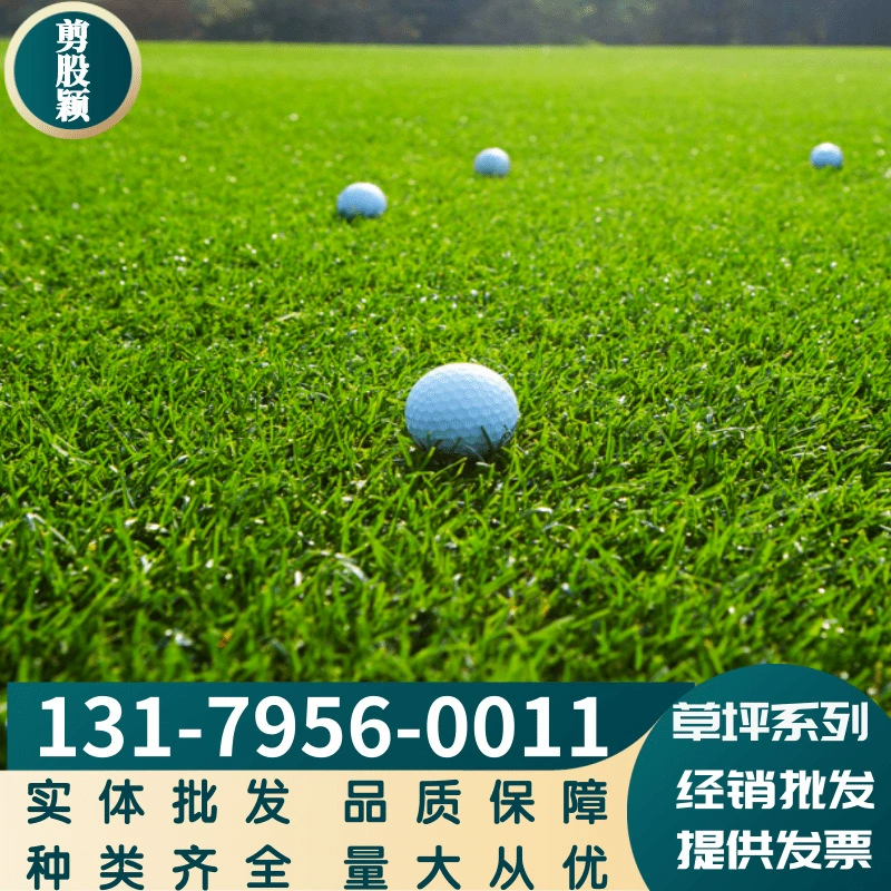 Защита склонов газона Режущий клей Виды Без косилки Газон для стрижки травы Виды ползучей резки Glume Малые и слабые сорта Полное и большое количество