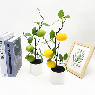 �¿�����������ʺ�ɳ���辰�҃ȔzӰ�b�����ˮ���Gֲ���Ԕ[��