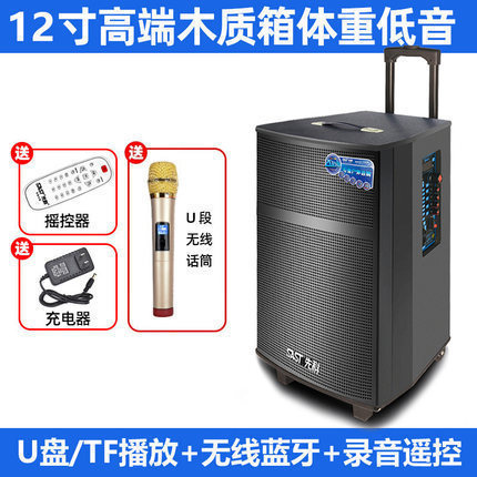 先科广场舞蓝牙音响带话筒家用户外拉杆音箱大功率低音炮厂家批发|undefined
