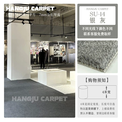 Car Carpet — Studio, Full Coverage Nylon, Flame-Retardant - plain-14-silver-gray