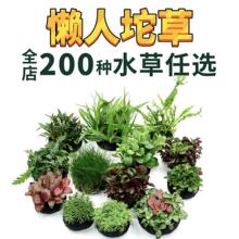 ˮ�ݽM���ײ�����ˮ�ݑ��˃���ˮ�|�~����ݾG�Źڻ���Ī˹�쾰�o