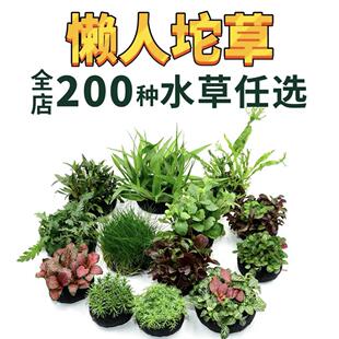 ˮ�ݽM���ײ�����ˮ�ݑ��˃���ˮ�|�~����ݾG�Źڻ���Ī˹�쾰�o