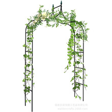 花架铁艺拱门花架葡萄月季铁线莲爬藤架特大庭院花架攀爬花支架