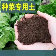 ͨ���͠I�B���N���߲�ˮ�������������N�ЙC���B���Nֲ������G�}