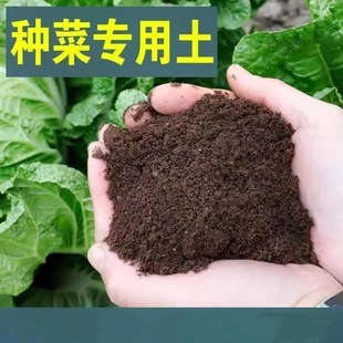 ͨ���͠I�B���N���߲�ˮ�������������N�ЙC���B���Nֲ������G�}