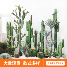 ���W����Gֲ���������ͷ��������������҃ȿ͏d����ɳĮ�쾰�b�