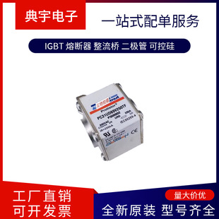 French Fuse Diigg50V10 K 200707   Diigg50V10/6F D 213558
