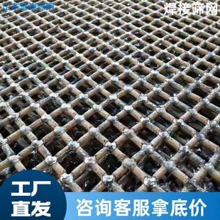 �Y�W �i䓺��ӺY�W���l ���N�Y�W ���ӺY�W �S��ֱ��