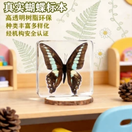 标本;树脂工艺品;科教玩具