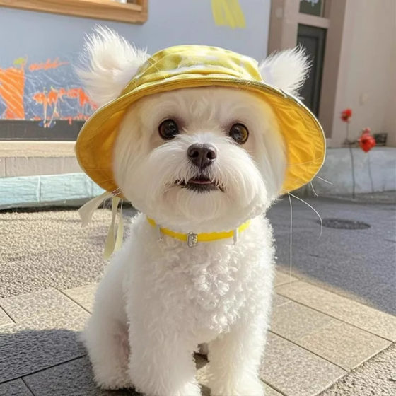 Cute Dew Ears Pet Cat Dog Hat Summer Sunscreen Sun Hat Devon Cat Hat Puppy Fisherman Hat