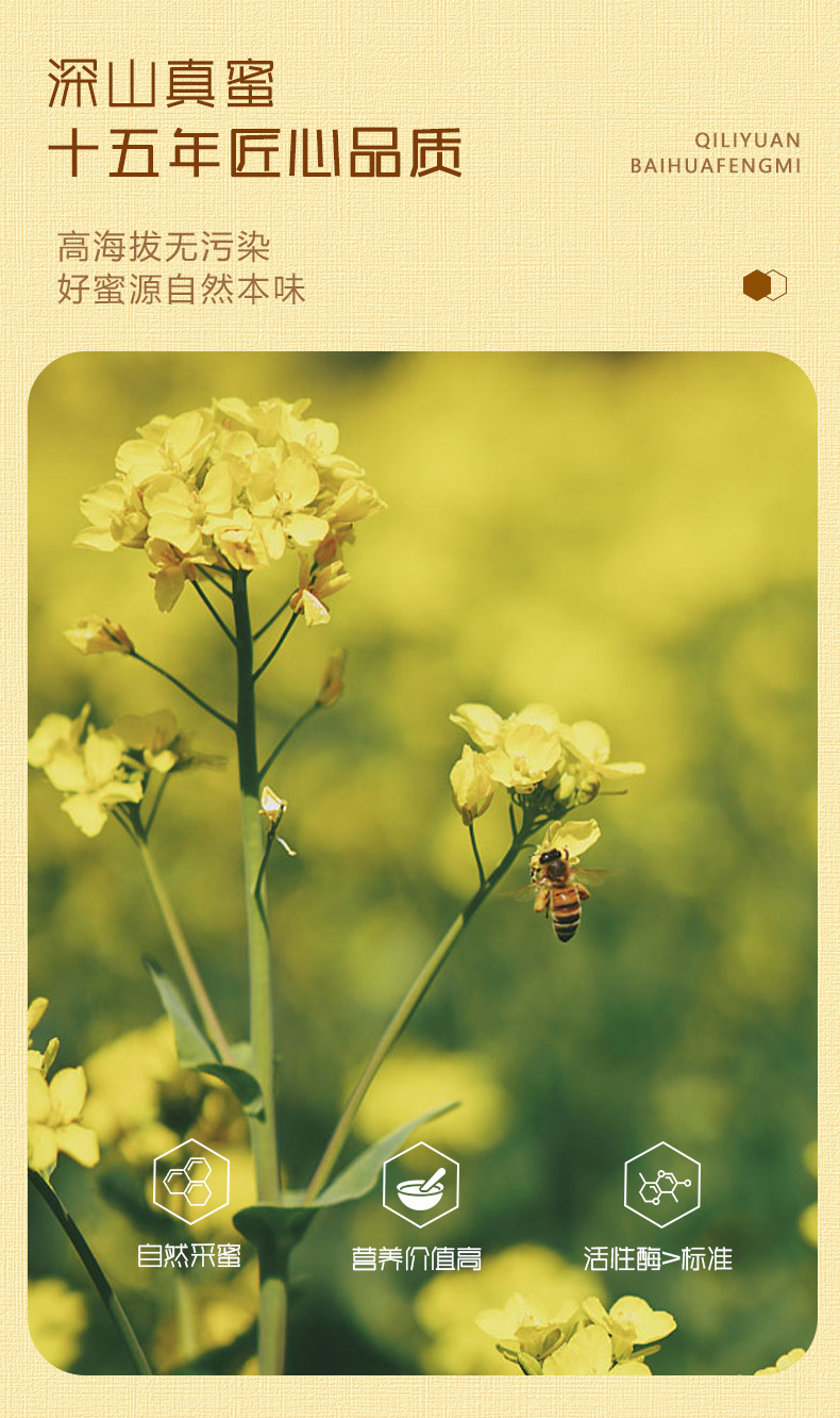 Qi Li Yuan Baihua Honey 500g Natural Floral Honey for Tea Breakfast Ready to Eat overview