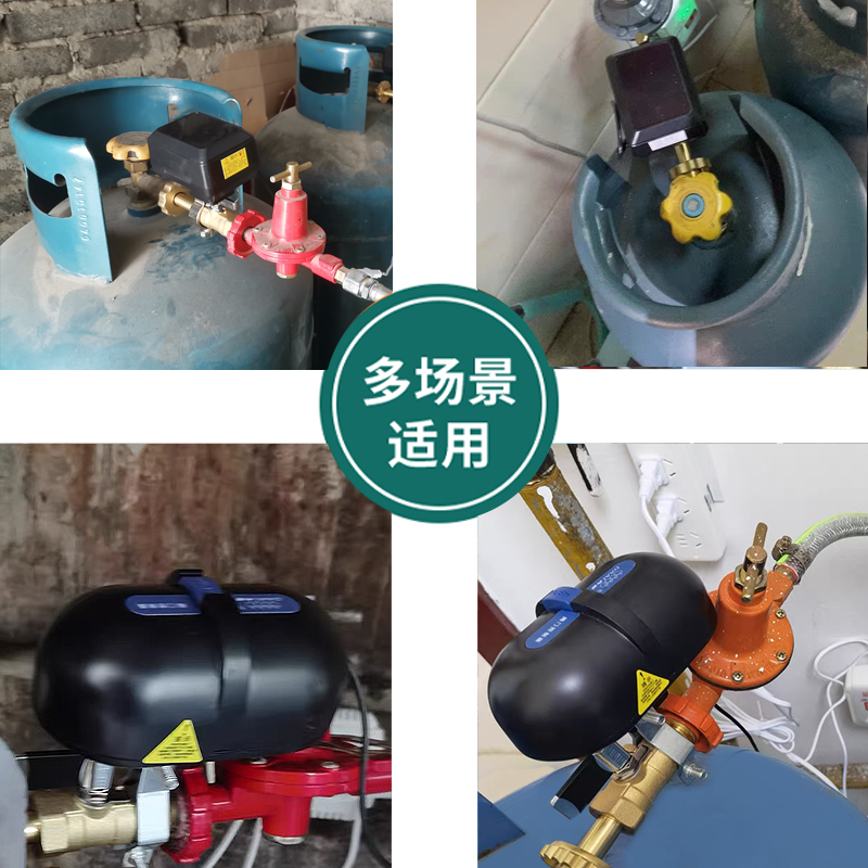 Gas Alarm Automatic Shut-Off Valve Gas Liquefied Gas Natural Gas Household Shut-Off Commercial Leak Detector