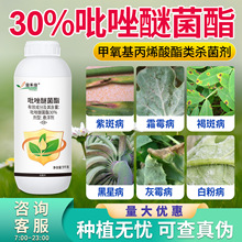 ��̱�30%�����Ѿ���˪ù���ְ߲���ù���׷۲��������rș100g-1L