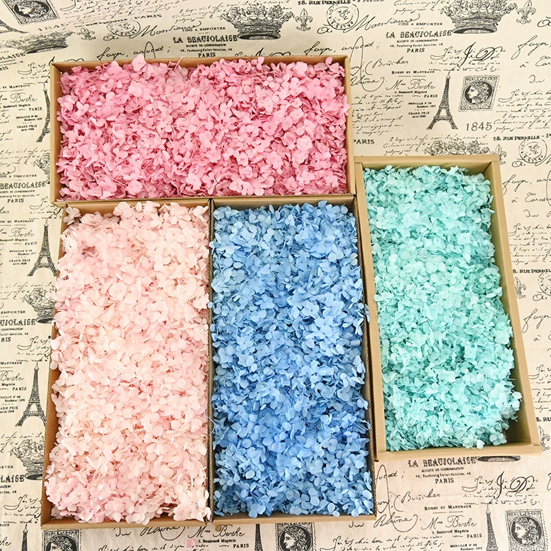幻花永生花 AB Class Anna hydrangea 100g birthday real flower material DIY material dry flower decoration girlfriend gift