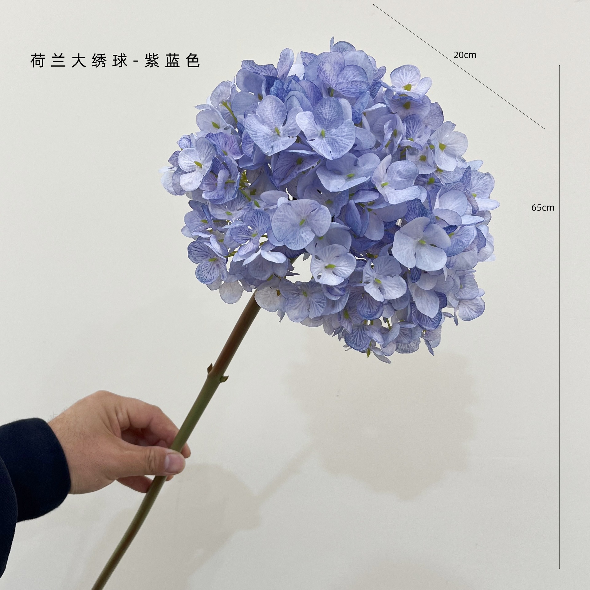 보라색 파란색