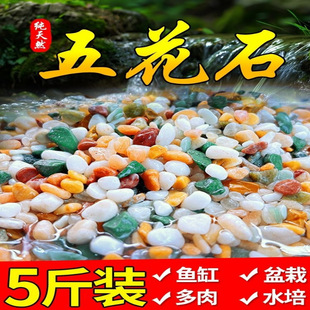 Natural Colored Stone Rain Flower Stone Fish Tank Landscaping Bottom Sand Volcanic Stone Ancient Fish Farming Bottom Stream Stone Water Quality Plant