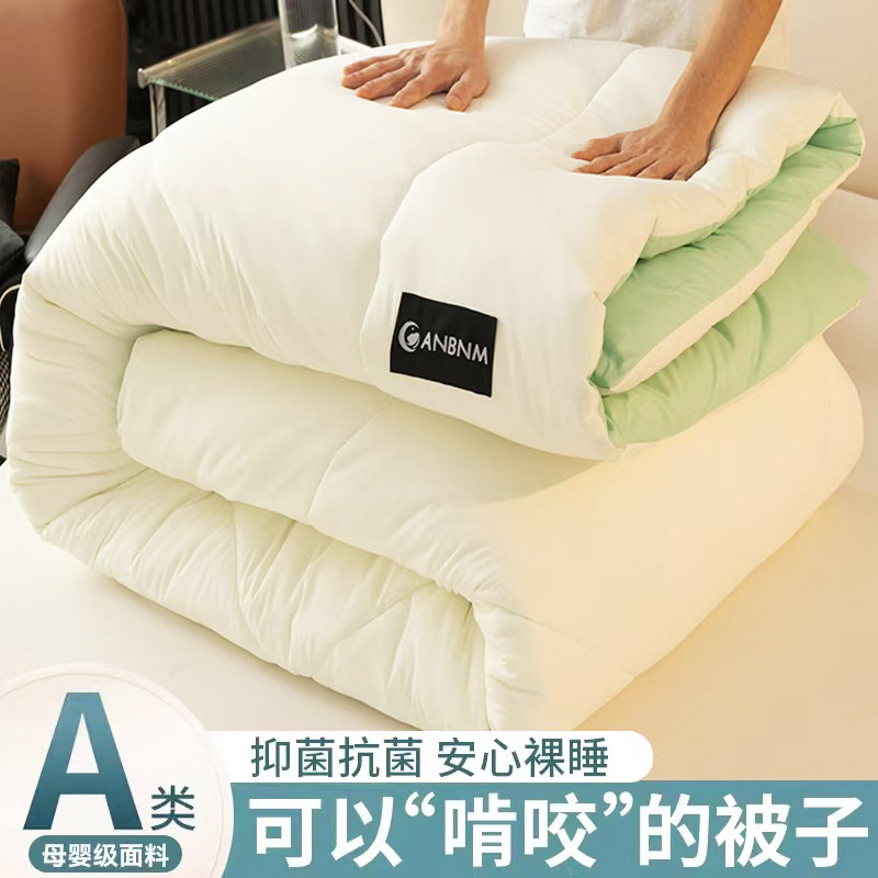 New Quilt, Winter Quilt, Quilt Core, Thickeneded Warm Bedding for All Seasons, Spring & Fall Quilt, Kidsren's Single Air-Conditioned Quilt for Winter Use