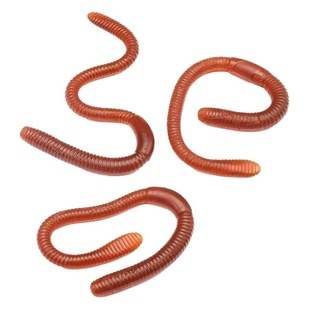 Imitation earthworm soft glue earthworm props maggot trick prank scared stall toy wholesale