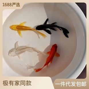 �^�p�~���~�ڽ��\�����P���~���~ֱ�N���l�լ��ˮ���l�S��