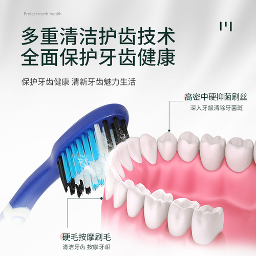 Card holder 30 adult one card business super independent packaging hard bristle toothbrush family oral cleaning household manufacturer wholesale