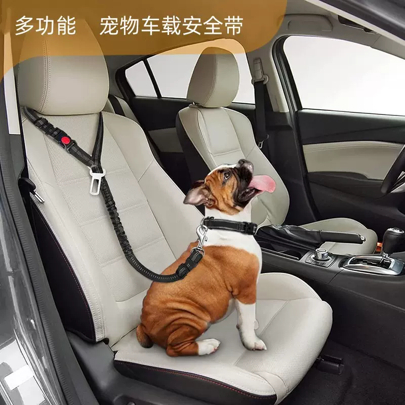 宠物牵引绳车载安全牵引绳圆环狗绳猫绳可伸缩弹力反光夜光牵引带