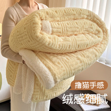 冬季塔芙绒毛毯珊瑚绒加绒加厚小毯子办公室午睡毯沙发空调盖毯被