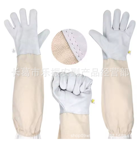 微信图片_20250629122728