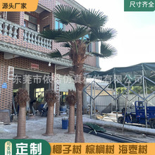 ����Ҭ�Ә� �����������˿� ����҃����b��쾰����䓼٘�S��