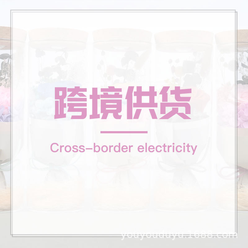 相册封面_跨境专供.jpg?x-oss-process=image/format,png