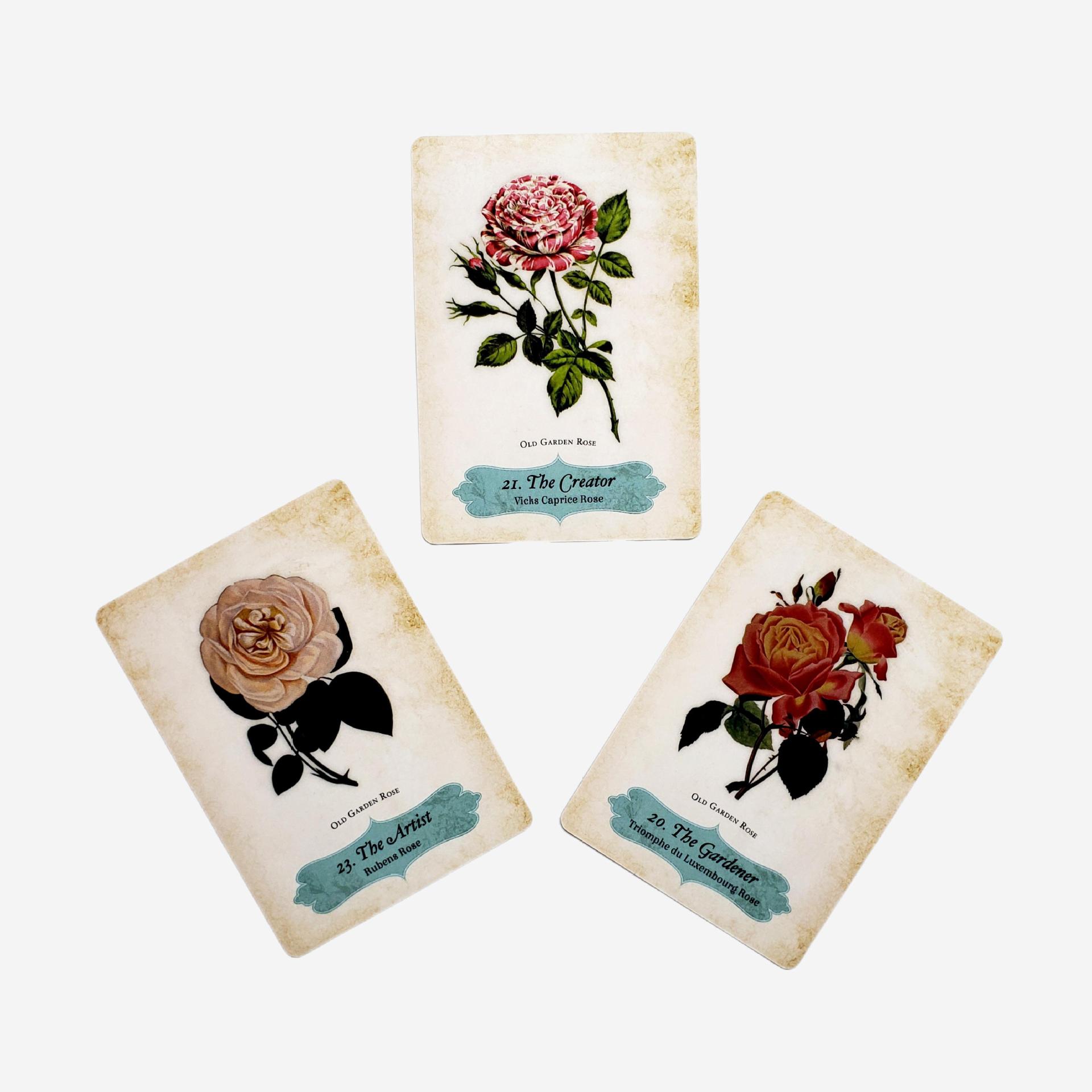 Oracle Of The Roses Card Game Party Games For Gatherings_voghion.com