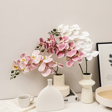 �����m���滨�ζ�10�^�z�^3D��ӡ�ָмٻ��͏d�[���ɻ��b���