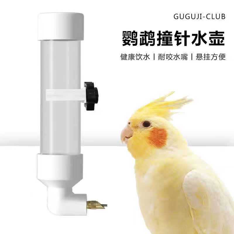宠物撞针水壶亚克力饮水器咬针防咬鹦鹉喂水器虎皮玄凤牡丹兔子用