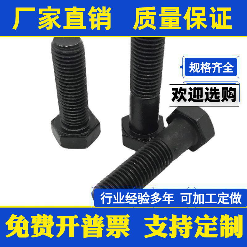 12.9级高强度外六角螺丝/螺栓 M22*60x70x80x90x100x150x200x250