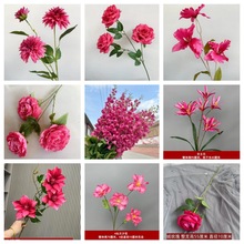 �¿��c���滨õ�tɫ��Y�õ��ӆ�����b�·���廨���Ż��ٻ���