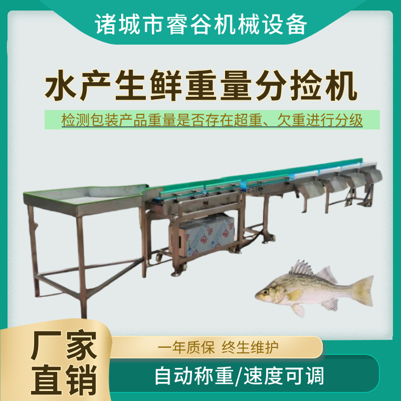 鱼类重量分级秤活鱼自动称重分选机水产分选设备海鲜大小分拣机