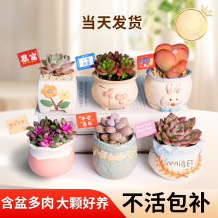 ֲСԴwBԺðl؛҃k¶ҵ