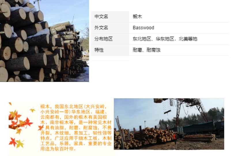 0]~P~WS5T~6@]21(2{S_`KN_副本