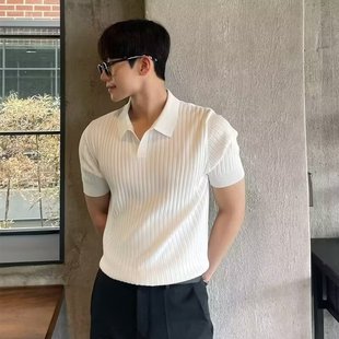 Summer Light Mature POLO Sugiyama Men's Korean Style Slim-fit Lar Solid Color Casual Thin Half-sleeve Fashionable Knitted Top T-shirt