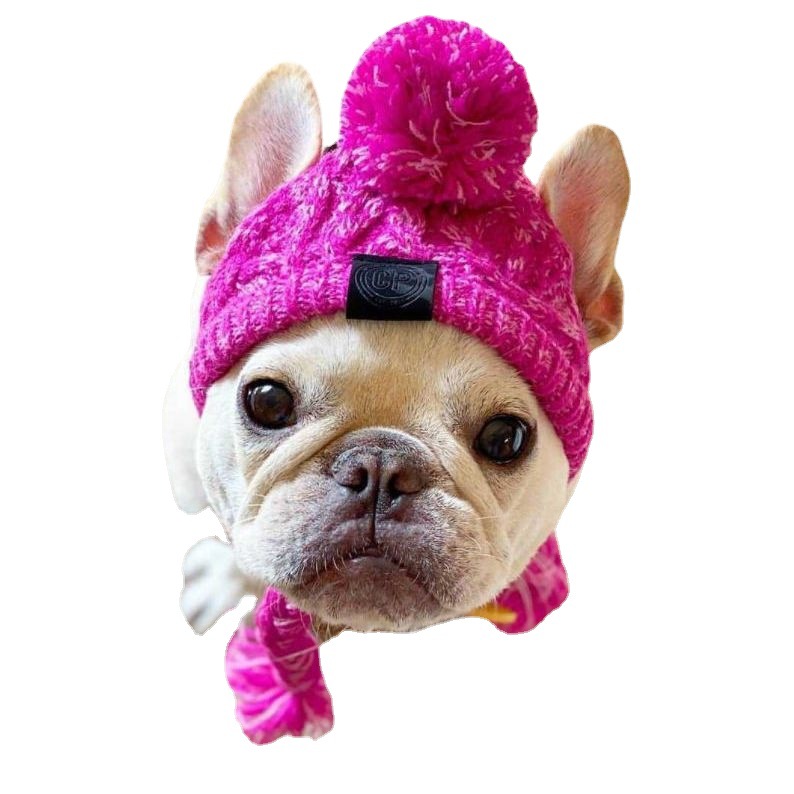 Sombrero de lana para mascotas pequeños, orejas expuestas, abrigo para invierno y otoño, ideal para French Bulldog y Pug