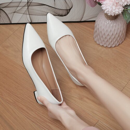 2025 Autumn Plus Size Pointed Toe Single Shoes with Thick Heel, Open Mouth Low Heel Professional Work Women's Shoes for All Seasons