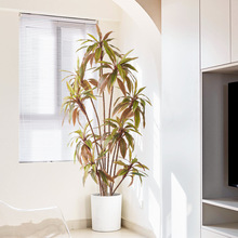 ���W�Ҿ��҃ȷ���Gֲ�콶�F��͏d���ͷ���ֲ���辰����b[��