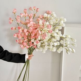 ��Ʒ�|��������ɻ���֦���\���ٻ��͏d�b�������ϲ�c�[���廨