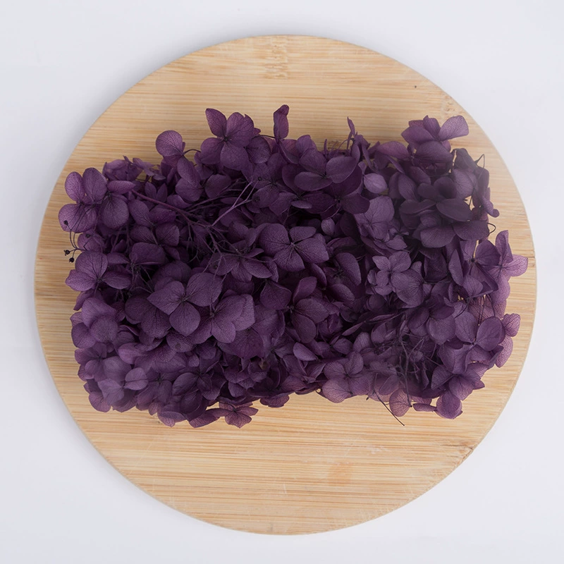 Вечный цветок Сухоцветная коробка Анна Гранди Hydrangea посыпанные лепестки цветов для лица свадьбы оформление Цветочный стиль