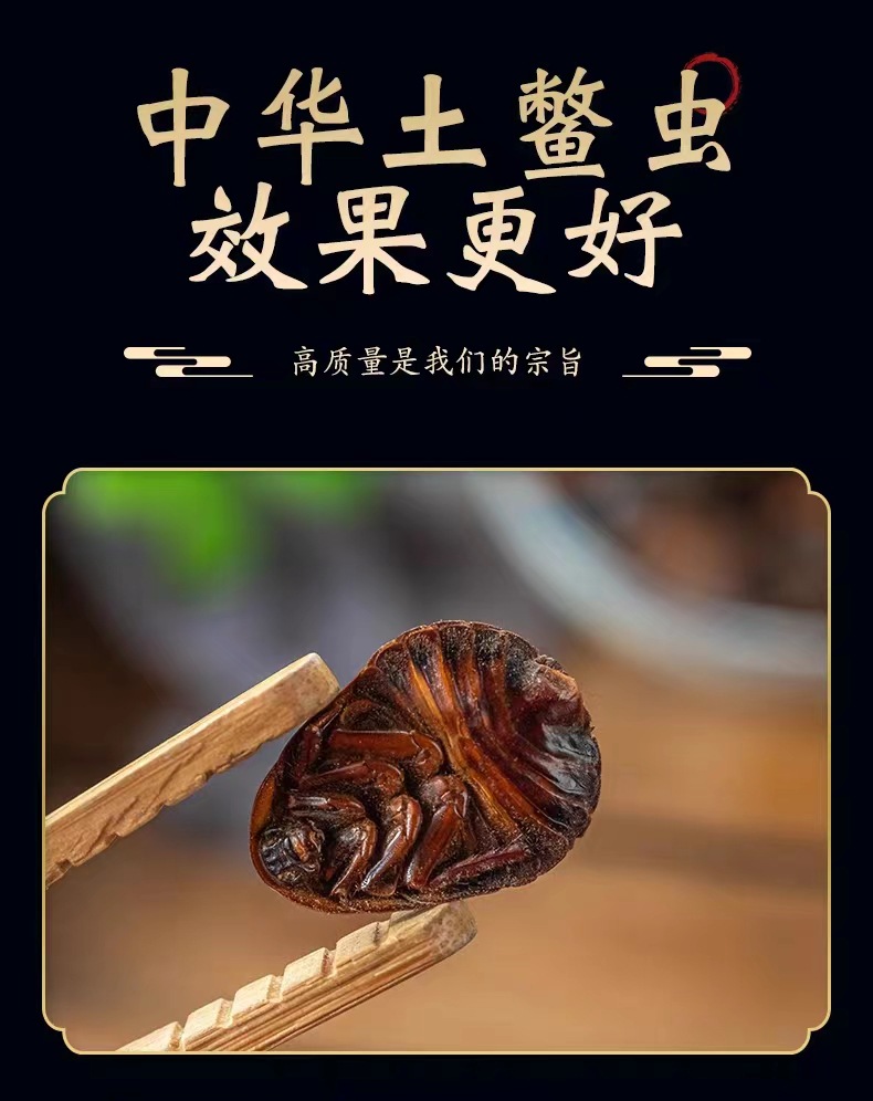 Dried Ground Beetle Tu Bie Chong Whole Insect Chinese Herb Eupolyphaga 500g Loose Bulk overview