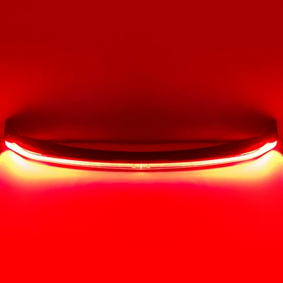 Led through Tail Light, Tail light