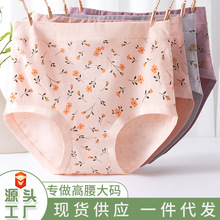 妈妈三角内裤女士纯棉抗菌全棉中老年人中高腰收腹宽松大码短裤衩